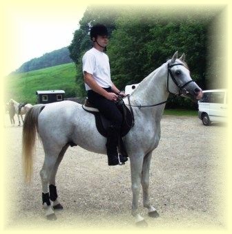 Shaheer